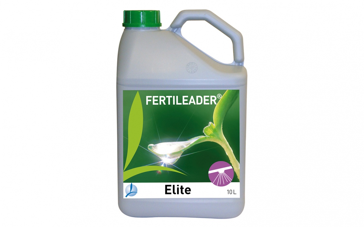 fertileader-elite-timak-agro-ukraina-ru-2