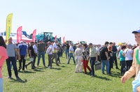 mizhnarodnii-den-polia-mnau-278-11