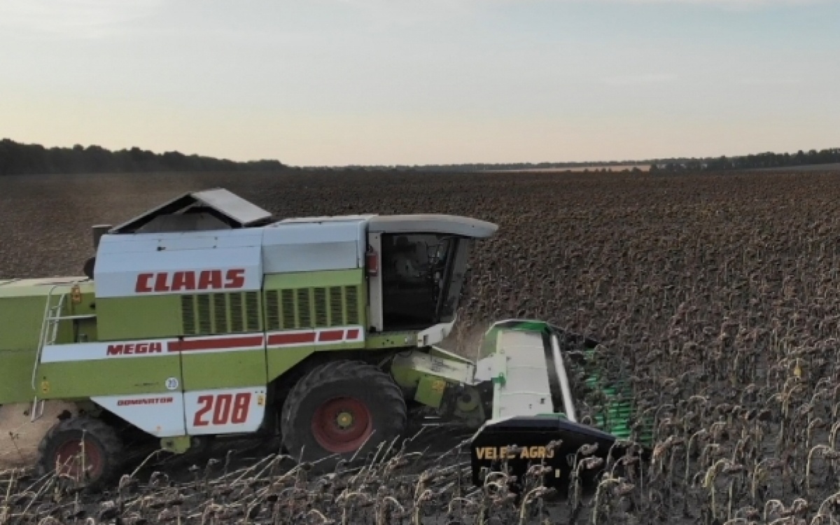 zhatka-dlia-uborki-podsolnechnika-skh-6-84-veles-agro-ru-2