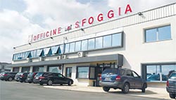 SFOGGIA GAMMA